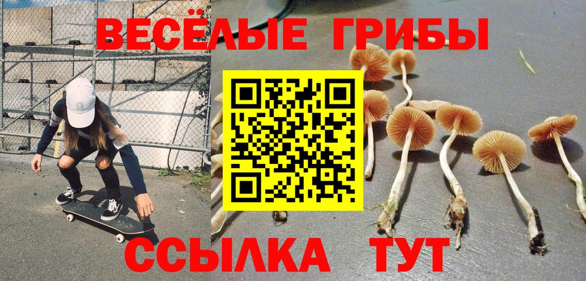 продажа наркотиков  Галлюциногенные грибы Cubensis  Вход с VPN  Касимов 